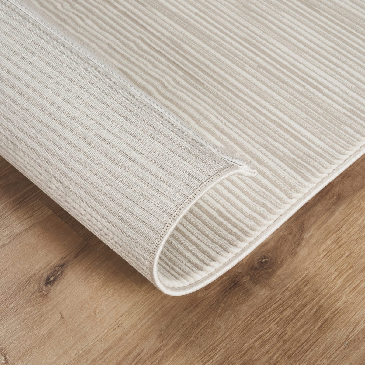 RENAISSANCE RE300 – Bild 3