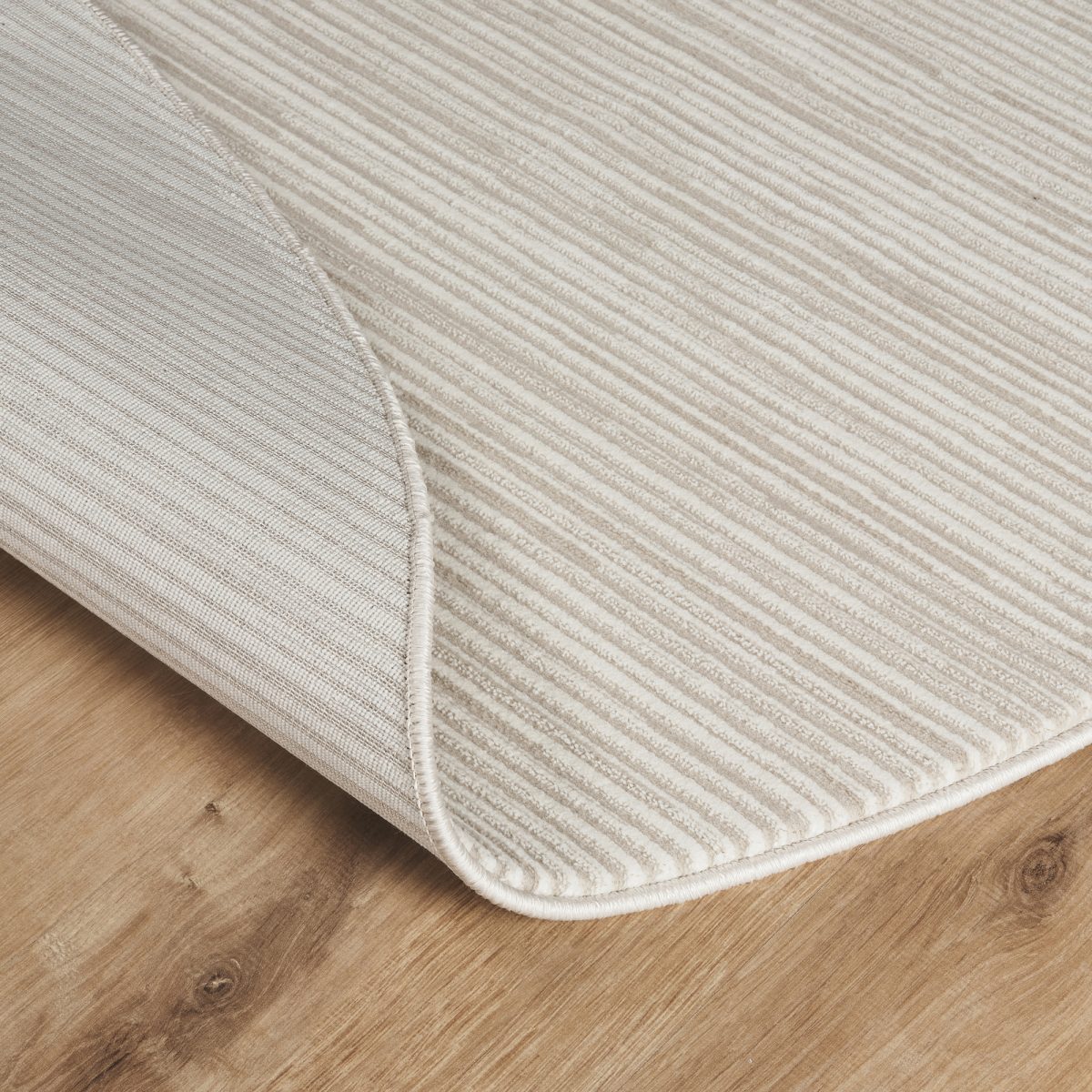 RENAISSANCE RE300 – Bild 6