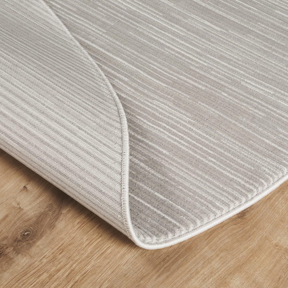 RENAISSANCE RE300 – Bild 14